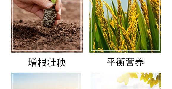 黄腐怸微有?黑?农佳一_06.jpg
