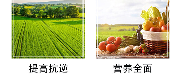 黄腐怸微有?黑?农佳一_07.jpg