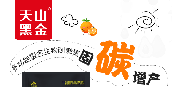 新疆中特煤腐植酸有限公司2_01.png