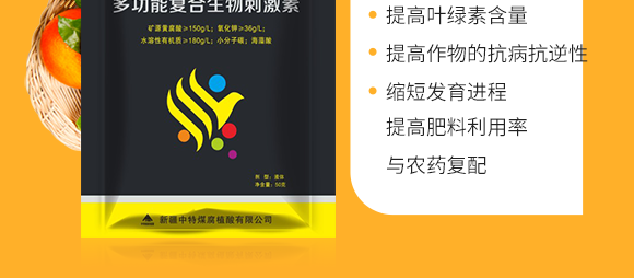 新疆中特煤腐植酸有限公司2_04.png