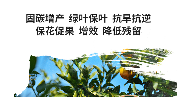 新疆中特煤腐植酸有限公司2_05.jpg