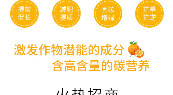 新疆中特煤腐植酸有限公司2_07.png