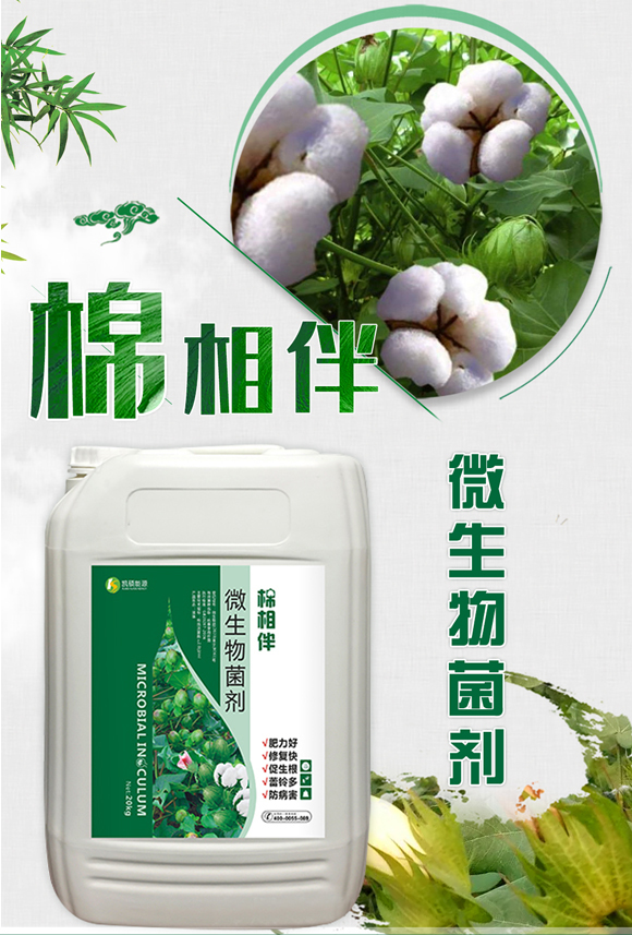 相?凯硕能源_01.jpg