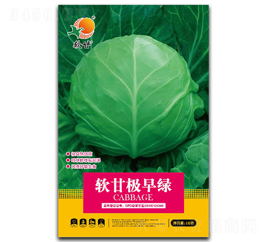 軟甘極早綠-甘藍(lán)種子-金木茂和