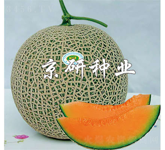 4̖(ho)-ϷN-зNI(y)