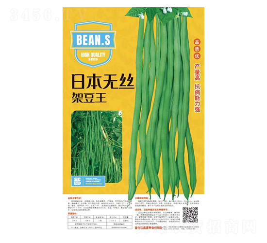 日本無(wú)絲架豆王-豆角種子-鑫源種業(yè)