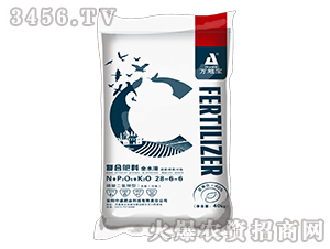 40kg͸ͺϷ28-6-6-f،-ʢʘI(y)
