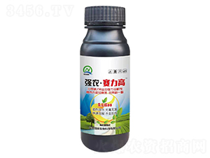 500mlСRꡢzx(chng)(qing)ܽ℩-(qing)r(nng)ِ-(qing)r(nng)