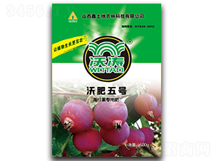 t(zhun)ЙC(j)-ַ̖(ho)-֝