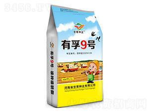 有孚9號(hào)-小麥種子-坔育種業(yè)