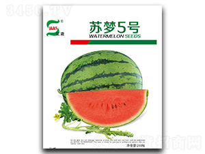 K5̖(ho)-ϷN-ANI(y)